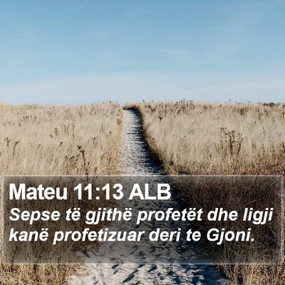 Mateu 11:13 ALB Bible Verse Image