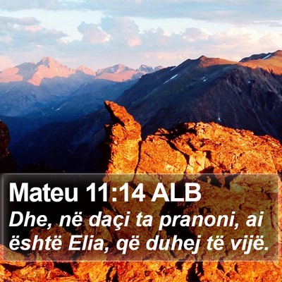 Mateu 11:14 ALB Bible Verse Image
