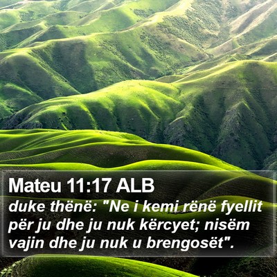 Mateu 11:17 ALB Bible Verse Image