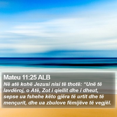 Mateu 11:25 ALB Bible Verse Image