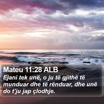 Mateu 11:28 ALB Bible Verse Image