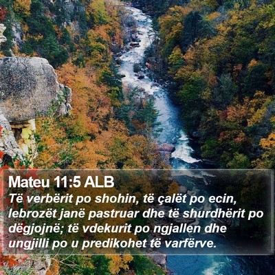 Mateu 11:5 ALB Bible Verse Image
