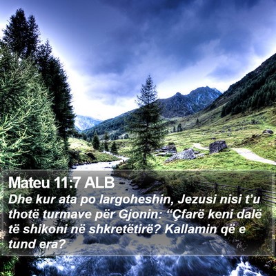 Mateu 11:7 ALB Bible Verse Image