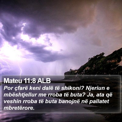 Mateu 11:8 ALB Bible Verse Image