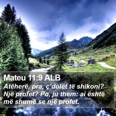Mateu 11:9 ALB Bible Verse Image