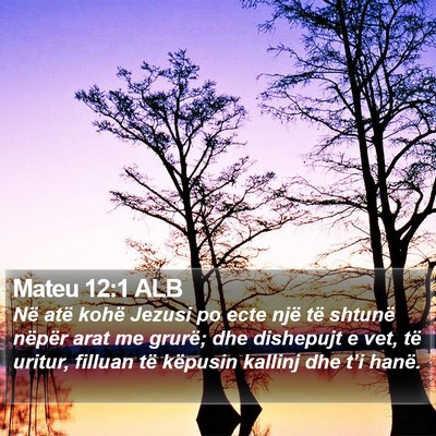 Mateu 12:1 ALB Bible Verse Image