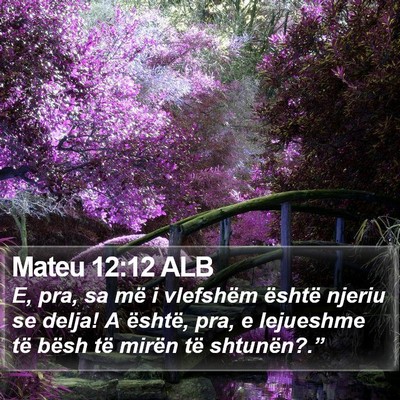 Mateu 12:12 ALB Bible Verse Image