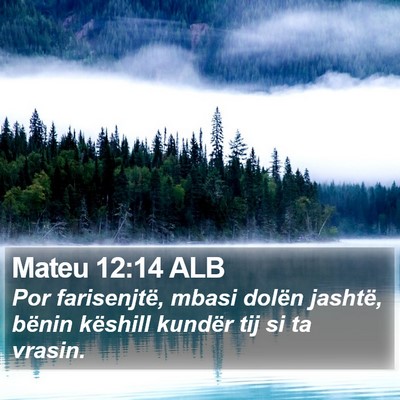 Mateu 12:14 ALB Bible Verse Image