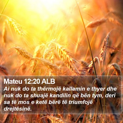 Mateu 12:20 ALB Bible Verse Image