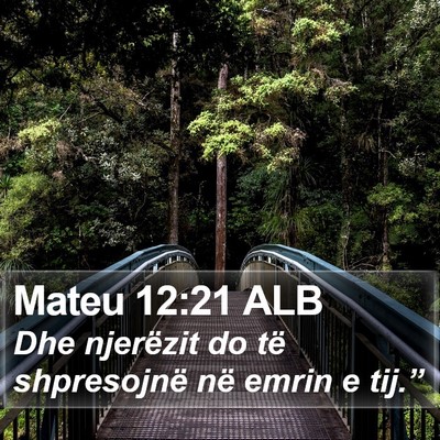 Mateu 12:21 ALB Bible Verse Image