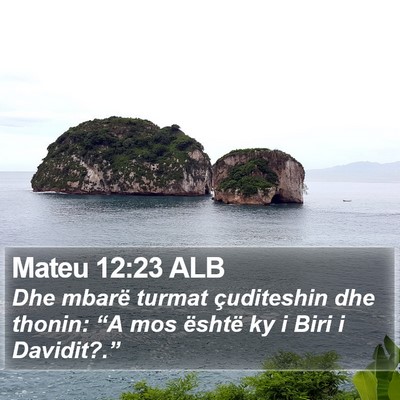 Mateu 12:23 ALB Bible Verse Image