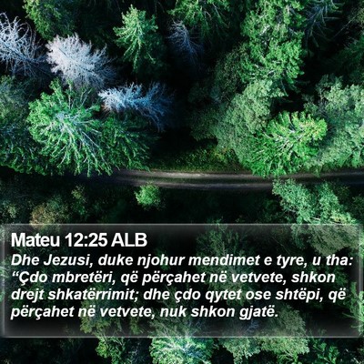 Mateu 12:25 ALB Bible Verse Image
