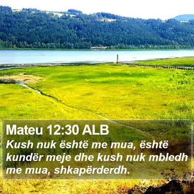Mateu 12:30 ALB Bible Verse Image