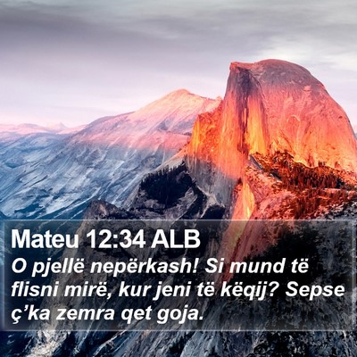 Mateu 12:34 ALB Bible Verse Image