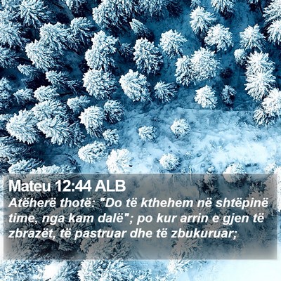 Mateu 12:44 ALB Bible Verse Image
