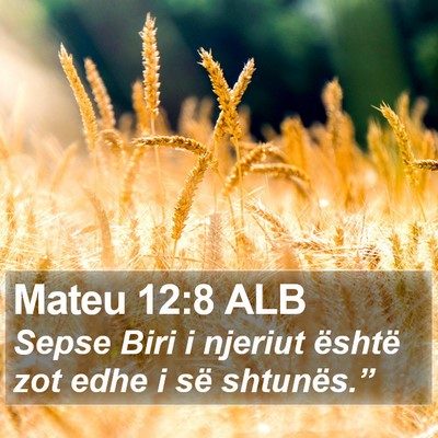 Mateu 12:8 ALB Bible Verse Image