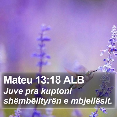Mateu 13:18 ALB Bible Verse Image