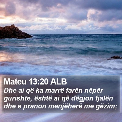 Mateu 13:20 ALB Bible Verse Image