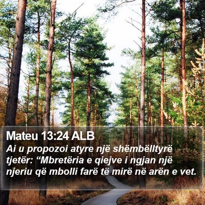 Mateu 13:24 ALB Bible Verse Image