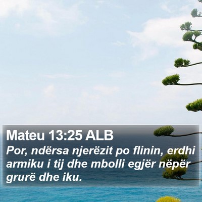 Mateu 13:25 ALB Bible Verse Image