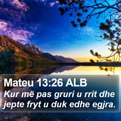 Mateu 13:26 ALB Bible Verse Image
