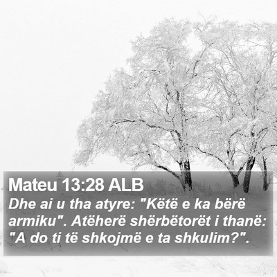 Mateu 13:28 ALB Bible Verse Image