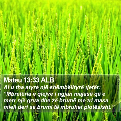 Mateu 13:33 ALB Bible Verse Image