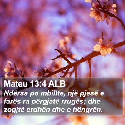 Mateu 13:4 ALB Bible Verse Image