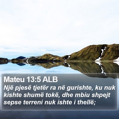 Mateu 13:5 ALB Bible Verse Image