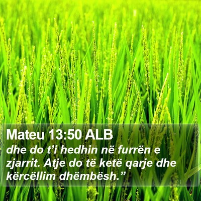 Mateu 13:50 ALB Bible Verse Image
