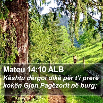 Mateu 14:10 ALB Bible Verse Image