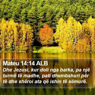 Mateu 14:14 ALB Bible Verse Image