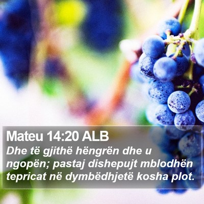 Mateu 14:20 ALB Bible Verse Image