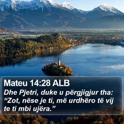 Mateu 14:28 ALB Bible Verse Image