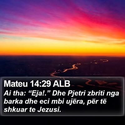 Mateu 14:29 ALB Bible Verse Image