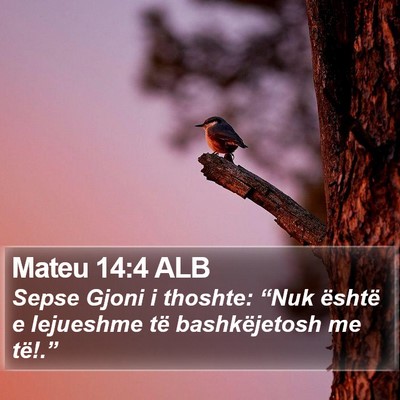 Mateu 14:4 ALB Bible Verse Image