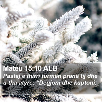 Mateu 15:10 ALB Bible Verse Image