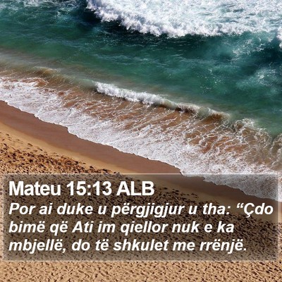 Mateu 15:13 ALB Bible Verse Image