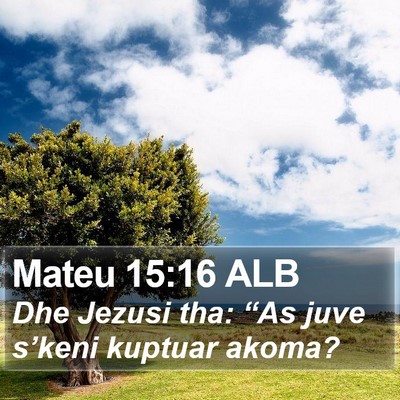 Mateu 15:16 ALB Bible Verse Image