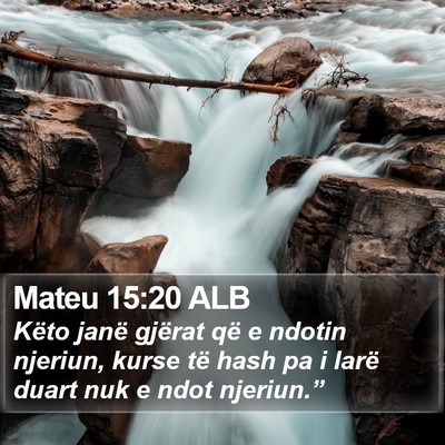 Mateu 15:20 ALB Bible Verse Image