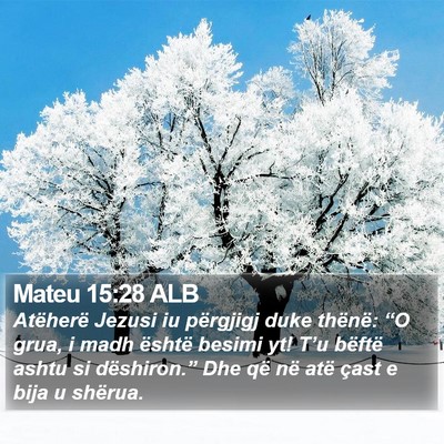 Mateu 15:28 ALB Bible Verse Image