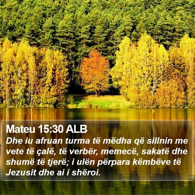 Mateu 15:30 ALB Bible Verse Image