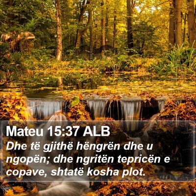 Mateu 15:37 ALB Bible Verse Image