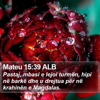 Mateu 15:39 ALB Bible Verse Image