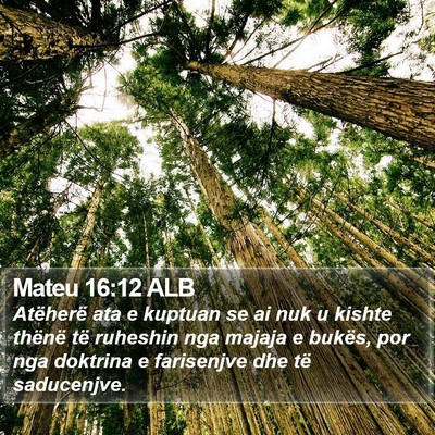 Mateu 16:12 ALB Bible Verse Image