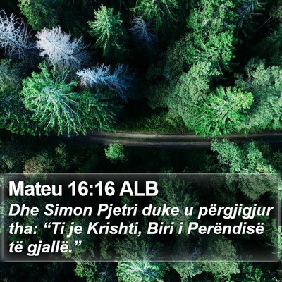 Mateu 16:16 ALB Bible Verse Image