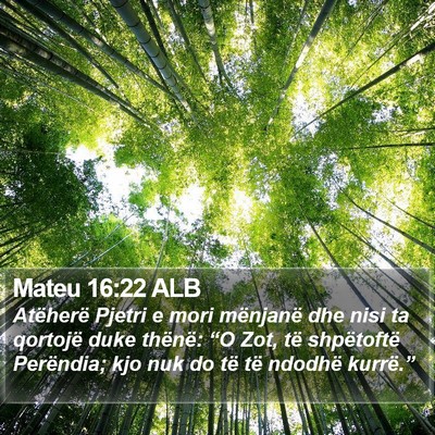 Mateu 16:22 ALB Bible Verse Image