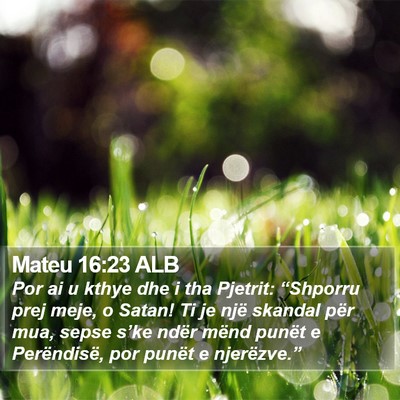 Mateu 16:23 ALB Bible Verse Image