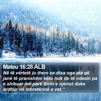 Mateu 16:28 ALB Bible Verse Image