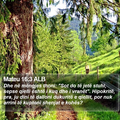 Mateu 16:3 ALB Bible Verse Image